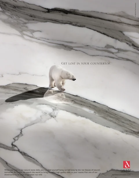 DalTile Animals