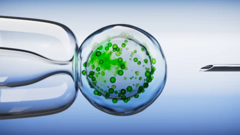 Cell
