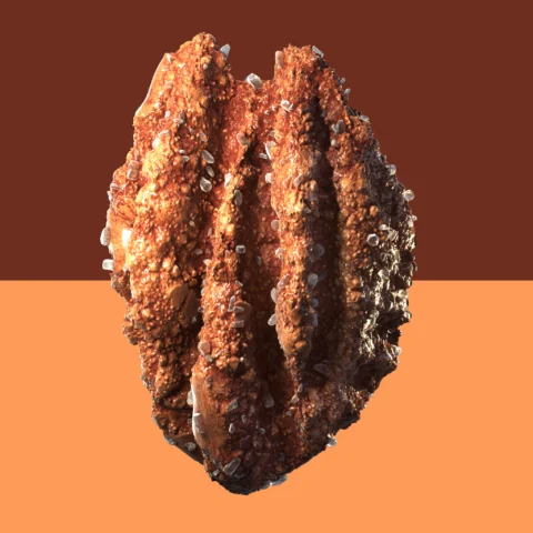 Trophy Foods